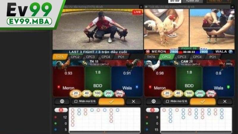 Bảng giao diện đặt cược trong đá gà cựa sắt EV99
