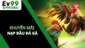 Khuyến Mãi Nạp Đầu Đá Gà Tại EV99