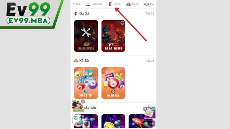 Chọn danh mục đá gà EV99 và sảnh chơi