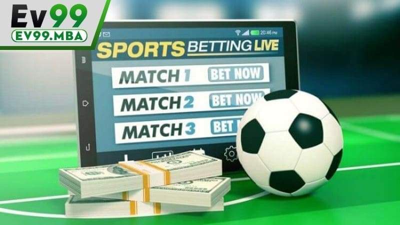 Cửa cược Thể Thao Ảo cũng giống các bộ môn thể thao khác