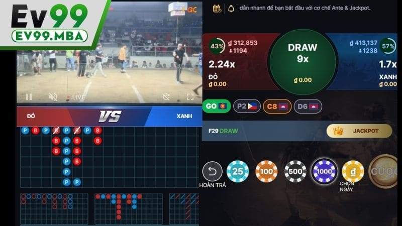 Đặt cược trước thời gian nhữ gà kết thúc