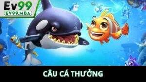 Câu Cá Thưởng Tại EV88