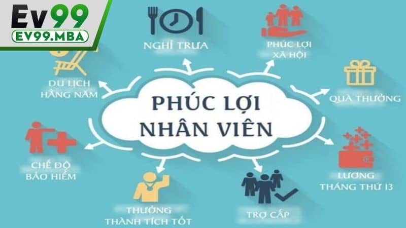 Nhân viên tại EV99 đều nhận được đầy đủ phúc lợi