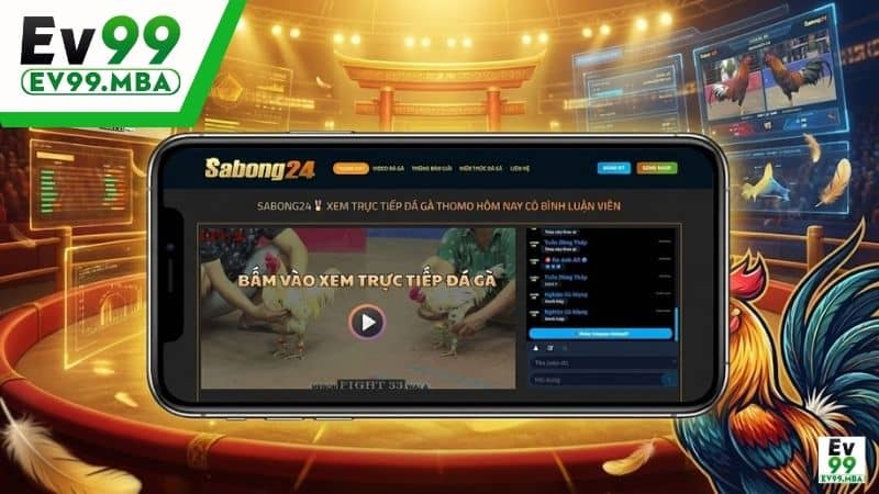 SABONG24 phát sóng trực tiếp đầy đủ các bồ gà danh tiếng tại Thomo
